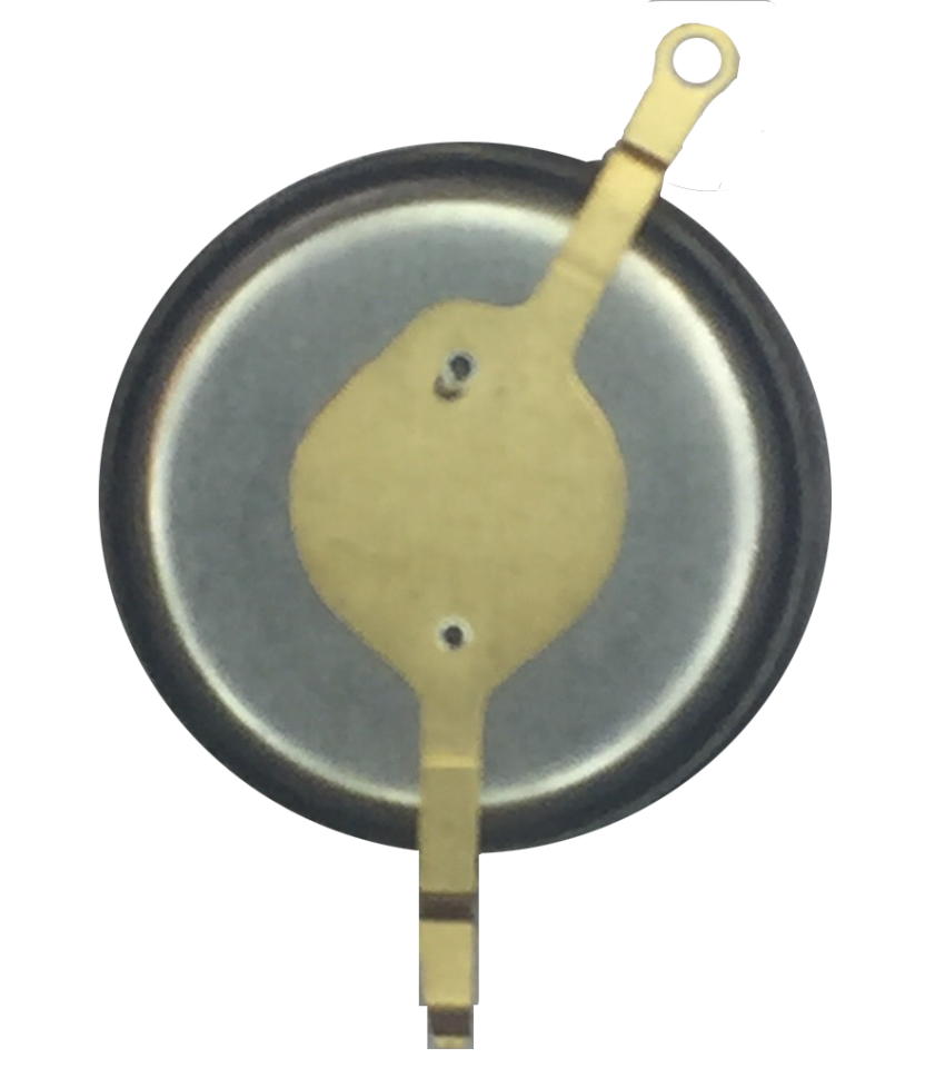 Seiko 5D88 Model Uyumlu 3023 24 L Şarjlı Saat Pili